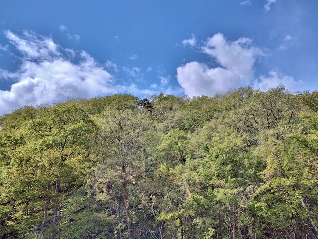 IMG_20220503_101424390_HDR