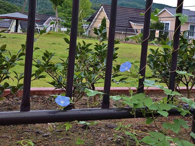IMG_20220902_063213446