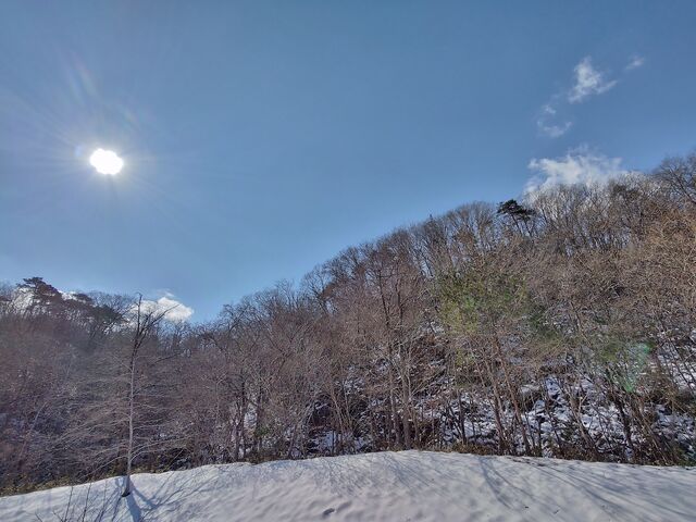 IMG_20220226_102928591_HDR
