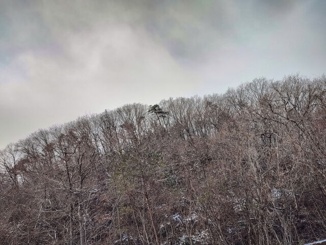 IMG_20220306_100503776_HDR_edited