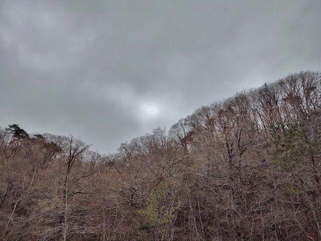 IMG_20220416_102629660_HDR (640x480)