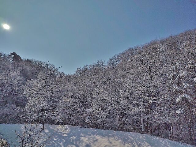 IMG_20220211_094857001 - コピー (640x480)