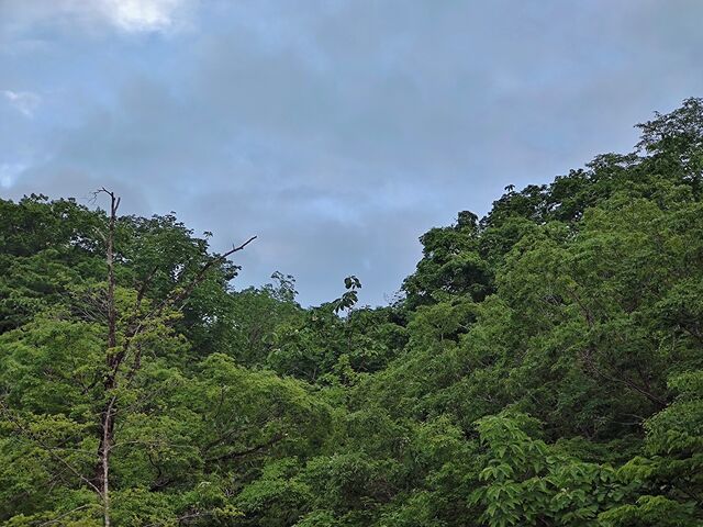 IMG_20220522_174751722