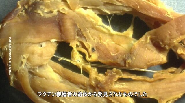 kessen2 (640x357)