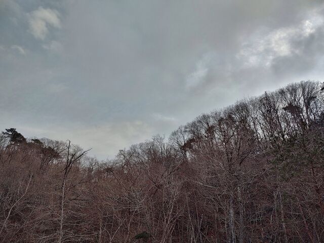 IMG_20220313_161421201_HDR