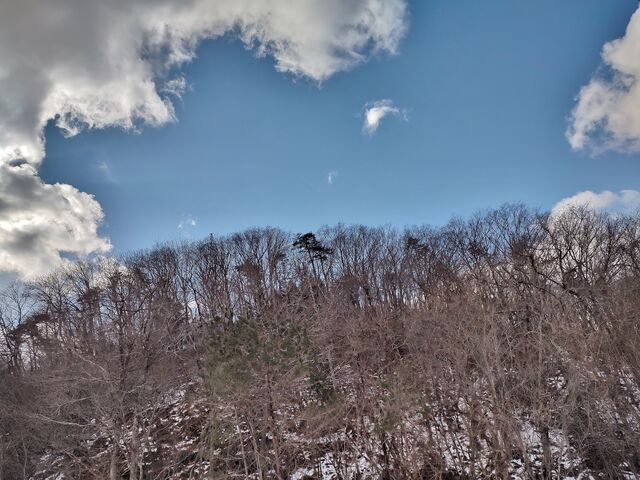 IMG_20220130_115047539_HDR