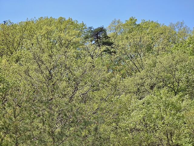 IMG_20220430_110141149
