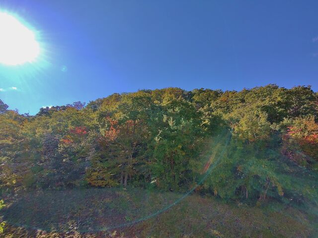 IMG_20221029_101413727