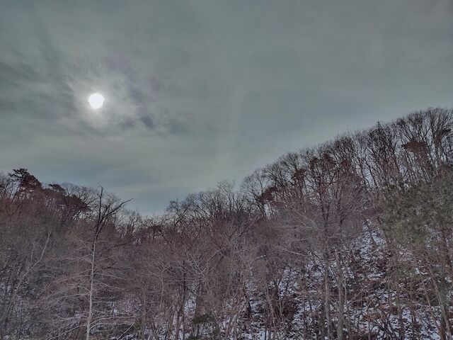 IMG_20220213_103855957_HDR_edited