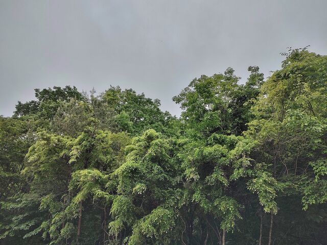 IMG_20220516_171020022_HDR