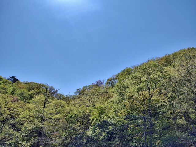 IMG_20220430_105953874_HDR