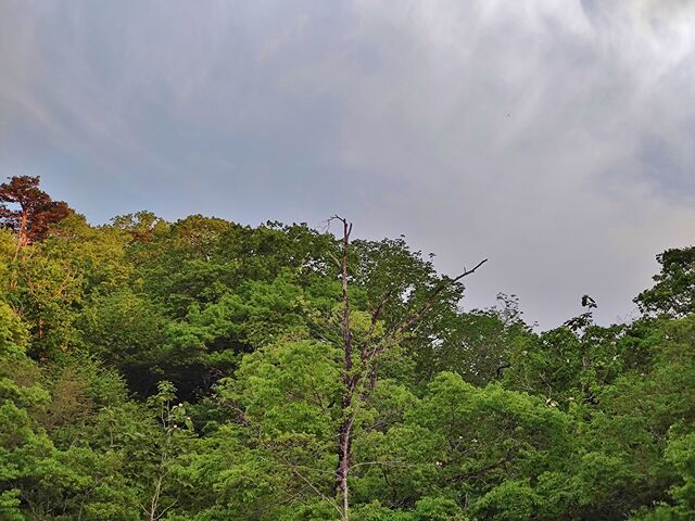 IMG_20220509_181205635