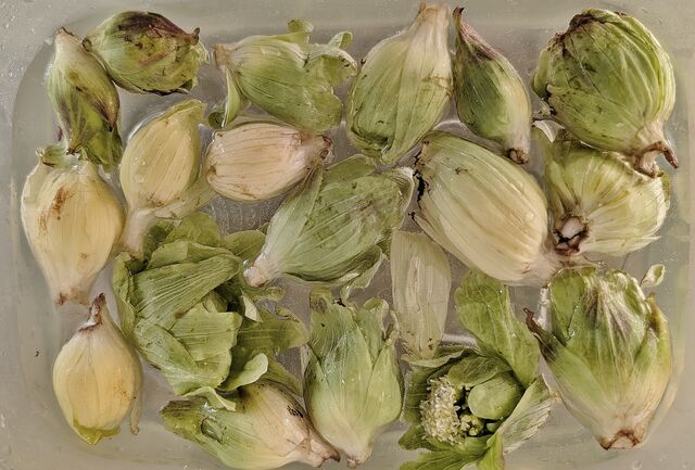 PXL_20260309_051438157