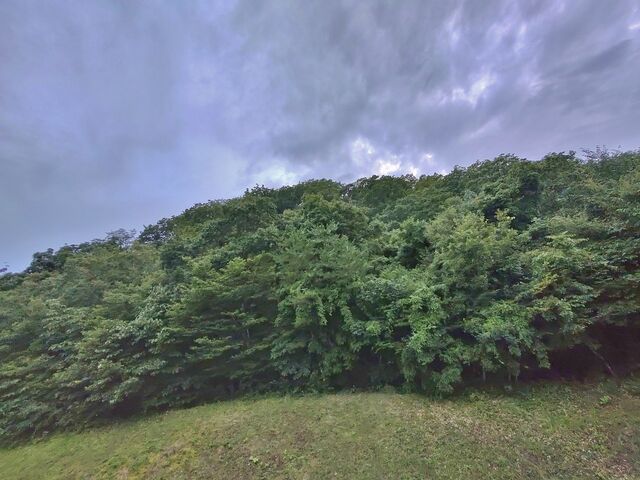 IMG_20220901_180242081_HDR