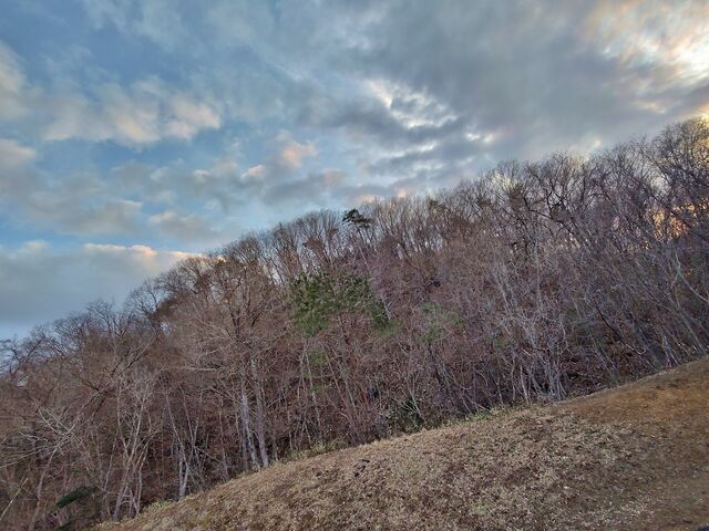 IMG_20220403_173932288_HDR