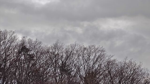 IMG_20230114_114712137