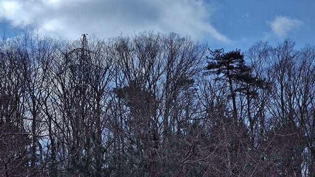IMG_20230122_111327706