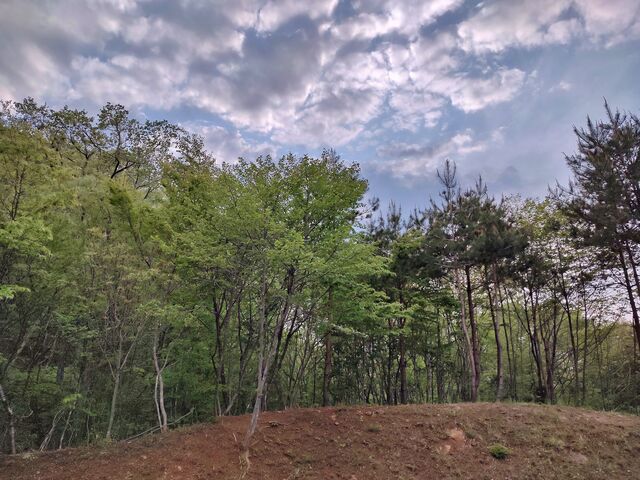 IMG_20220502_171026661_HDR