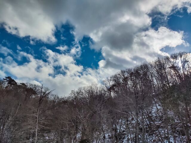 IMG_20220206_142117157_HDR_edited