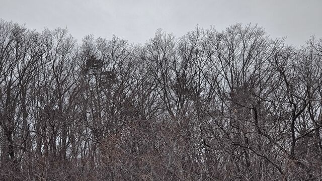 IMG_20221229_122935256