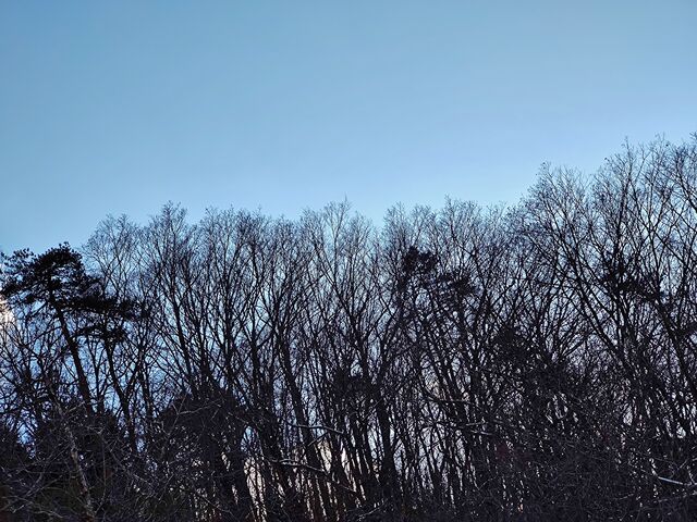 IMG_20220205_161158823