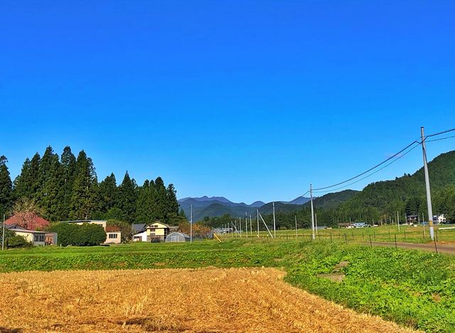IMG_E2908