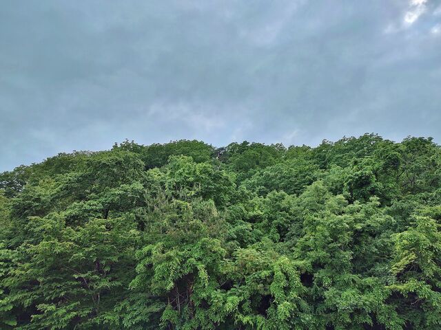 IMG_20220522_174710454_HDR