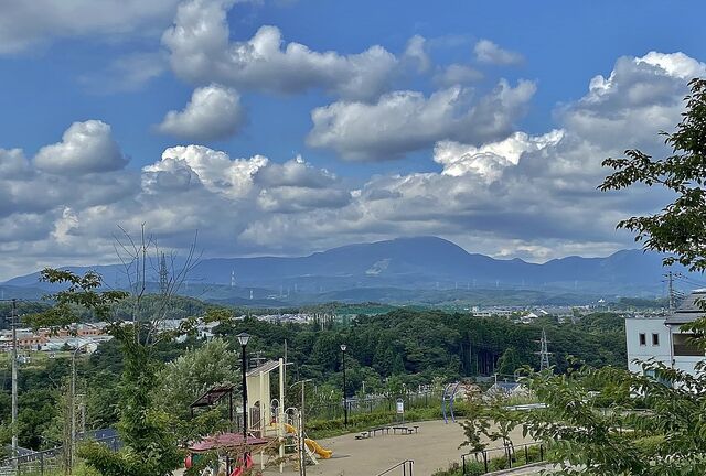 IMG_8479