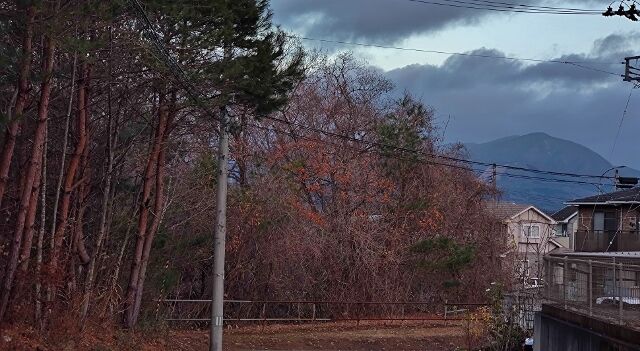 IMG_20221201_064105220 (640x351)
