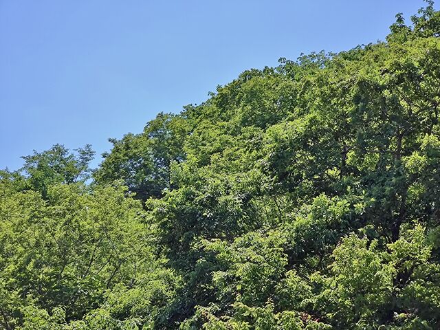 IMG_20220529_114350815