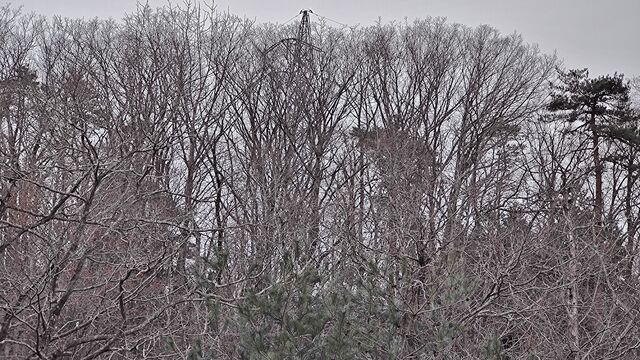 IMG_20230107_103536540