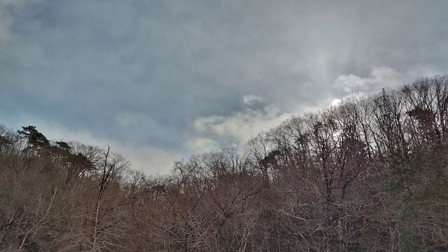 IMG_20221225_131457629_HDR