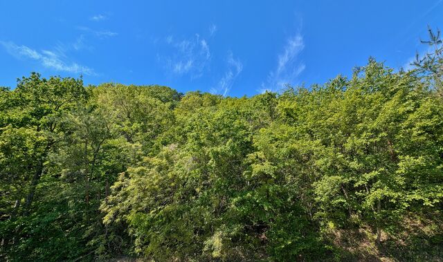PXL_20260506_013111464