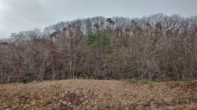 IMG_20230107_103509369_HDR