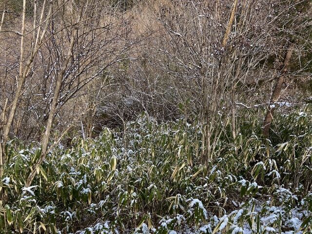 IMG_9417 (640x480)