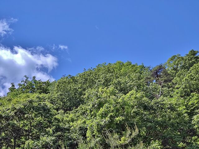 IMG_20220528_104830940