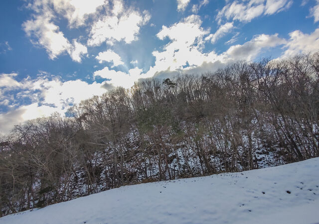 IMG_20220122_140043785_edited