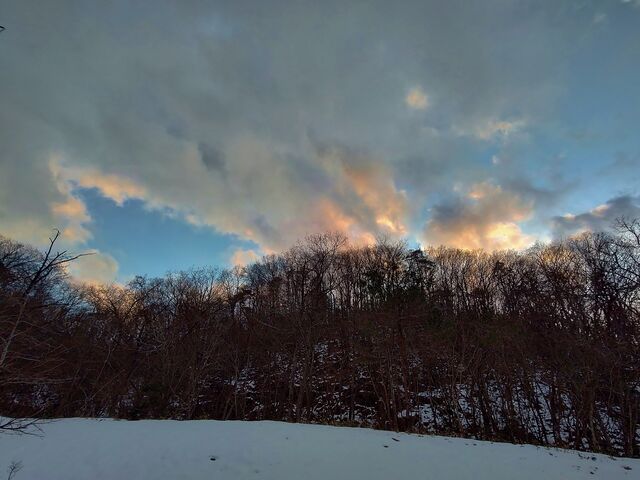 IMG_20220131_164126567_HDR