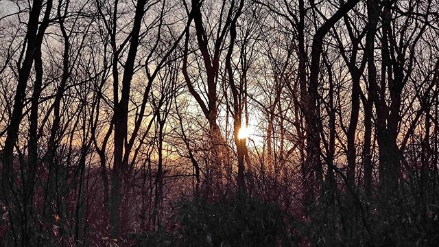IMG_20230228_171008585
