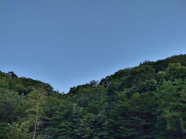 IMG_20220819_183307026_HDR