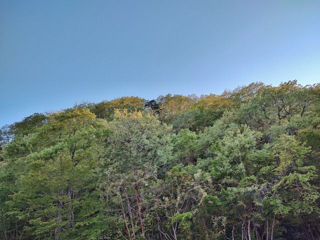 IMG_20220503_173316105_HDR