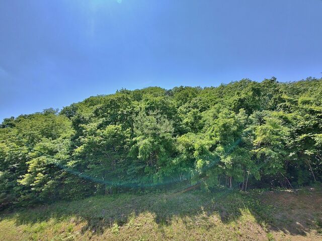 IMG_20220529_115545295_HDR