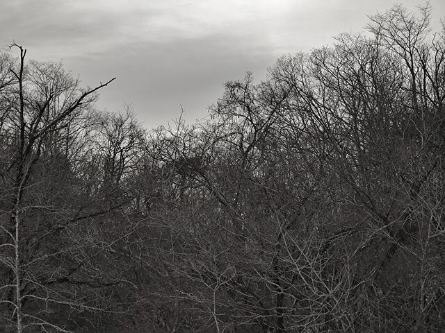 IMG_20220213_103932544