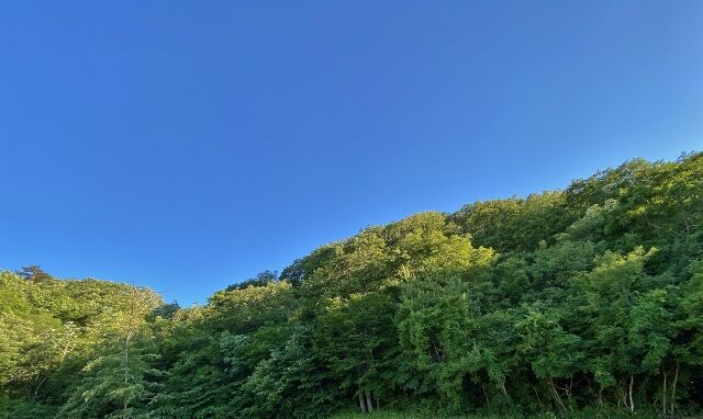 IMG_5833 (640x382)
