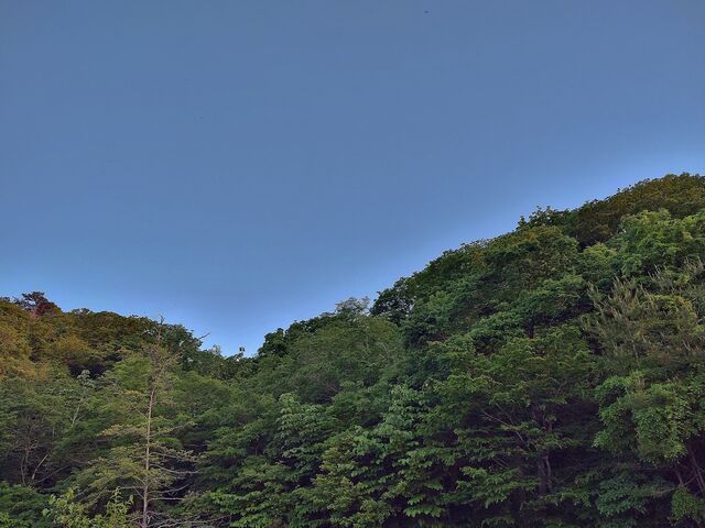 IMG_20220524_183031323_HDR