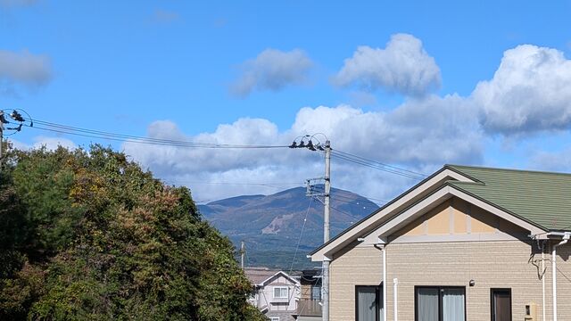 PXL_20251101_004701283