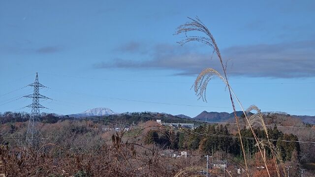 IMG_20221203_094436325 (640x360)