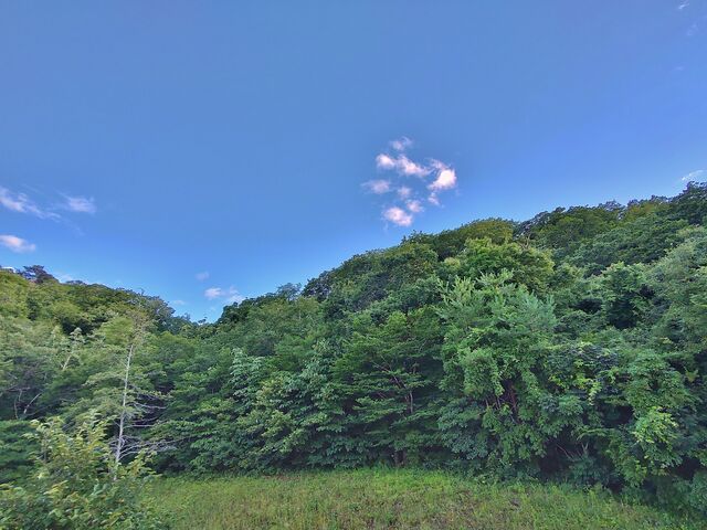 IMG_20220723_174023073_HDR