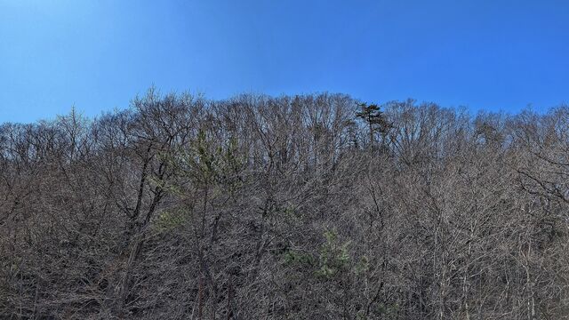 PXL_20260312_015944113