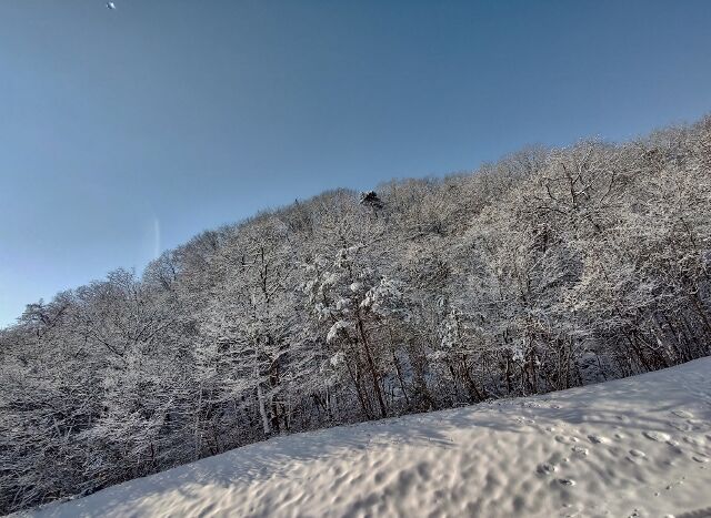 IMG_20220211_094518686_HDR (640x467)